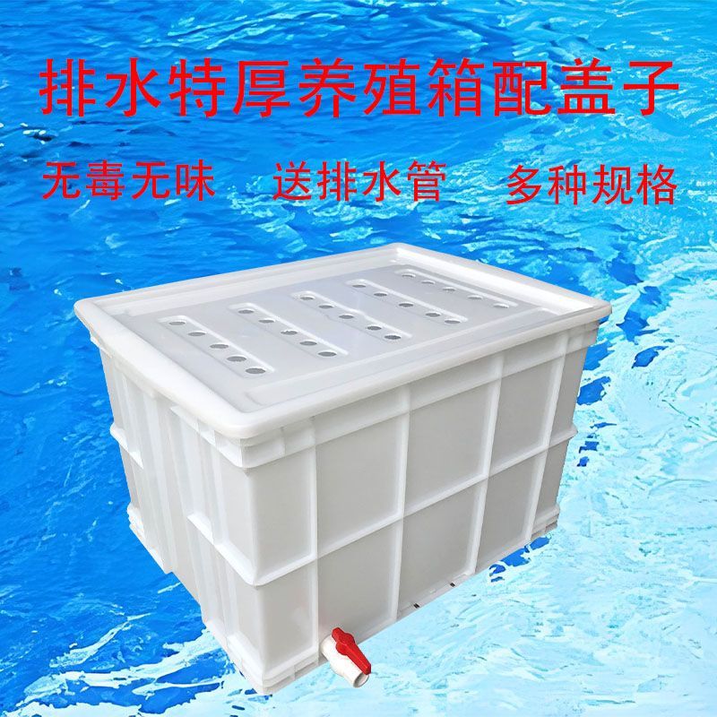 加厚排水塑料箱养鱼带排水养殖箱钓鱼箱车载活鱼箱