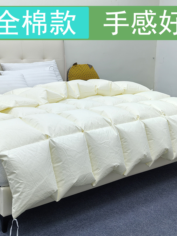 自充绒双层纯棉羽绒被空被壳半成品防钻绒内胆旧羽绒服改做羽绒被