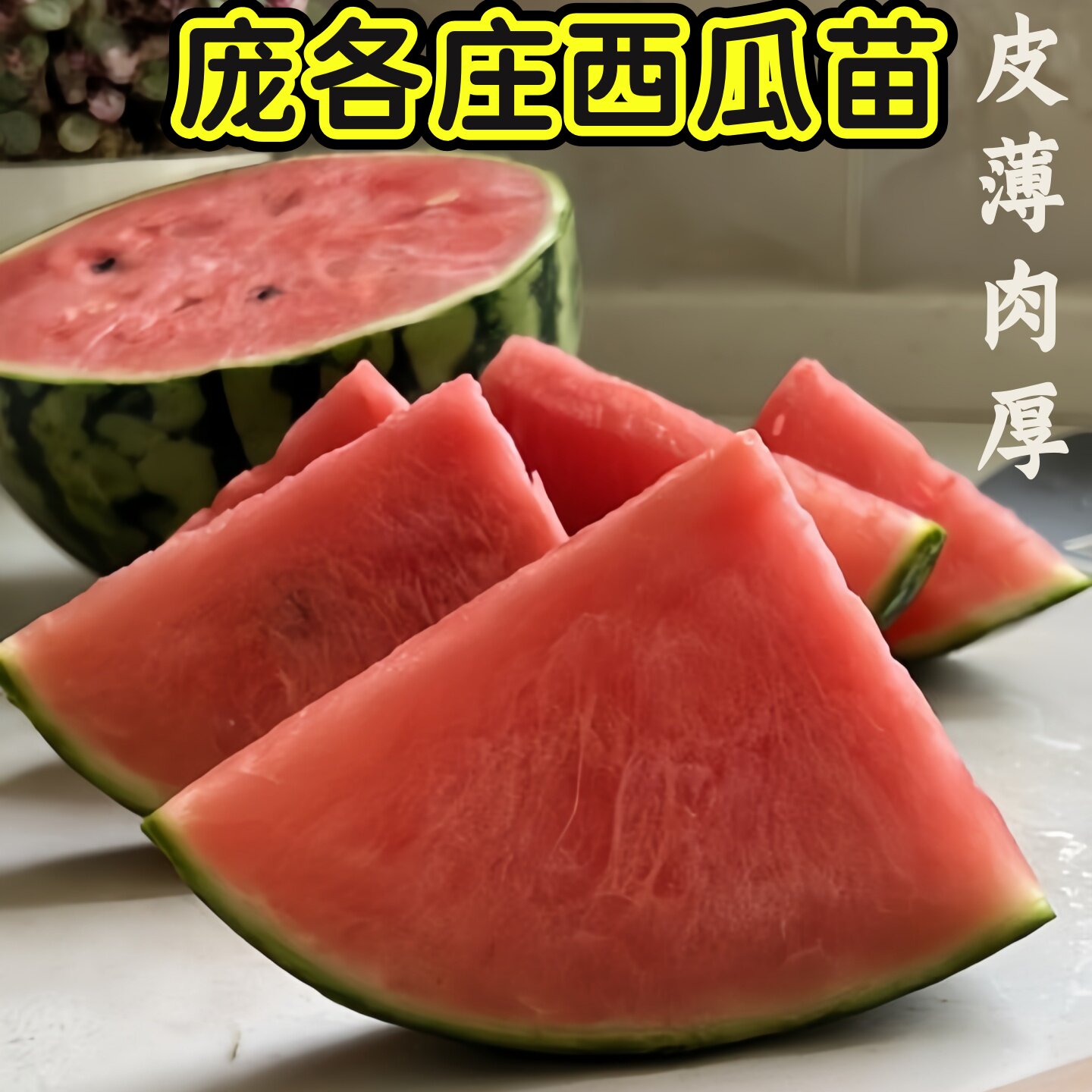 庞各庄西瓜苗水果蔬菜秧苗四季纯甜抗病高产田园大棚种植春季秋季