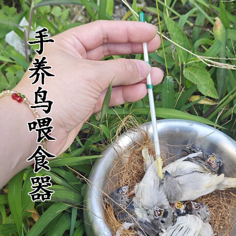不锈钢自助餐酒店酒吧冰块食物针图片