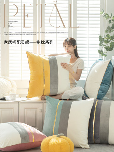 2025新款轻奢高级感抱枕沙发客厅靠垫大抱枕套不含芯大靠背垫靠枕