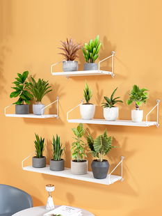 墙上花架壁挂式免打孔挂在墙壁置物架室内挂墙花架子挂式的阳台