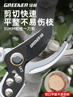 日本进口SK5钢果树剪修枝剪剪树枝专用剪刀果树园艺花剪枝剪出口