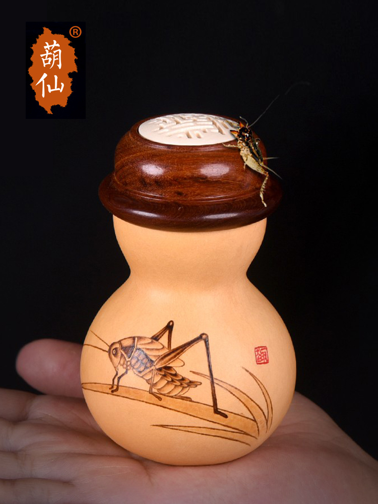 葫仙天然葫芦蝈蝈罐葫芦七星口蛐蛐笼子鸣叫虫罐虫具文玩收藏把件