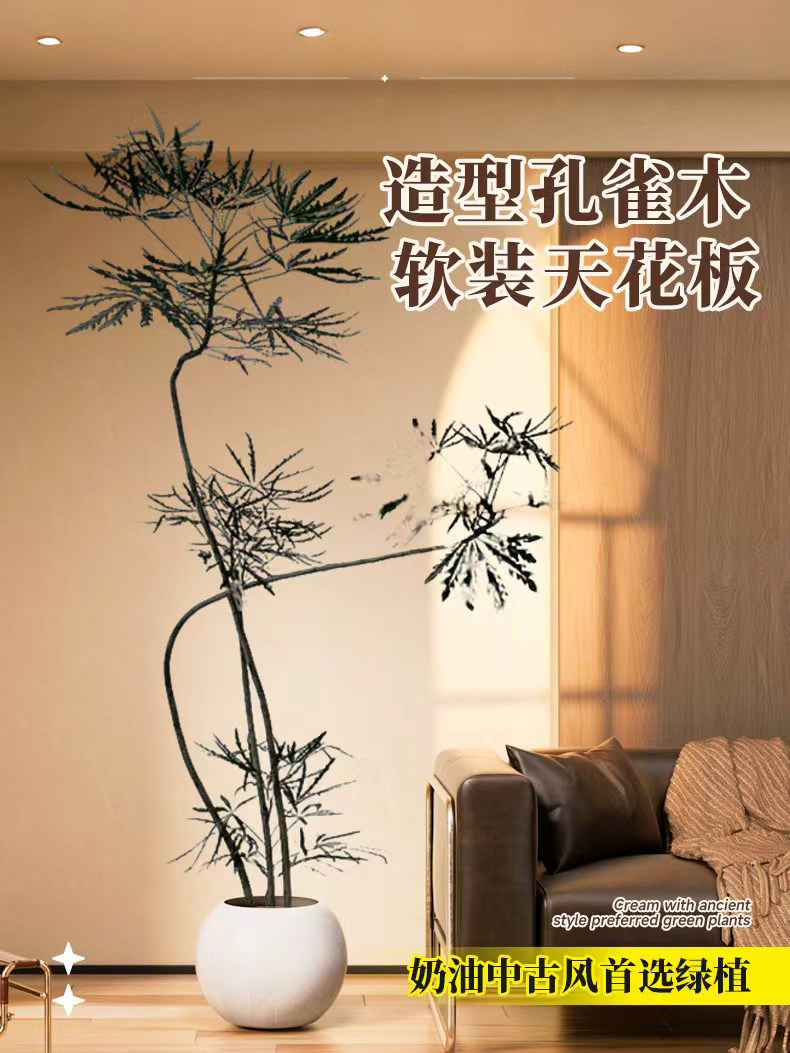 孔雀木绿植室内客厅大型植物办公室落地式大盆栽真花好养大号禄植