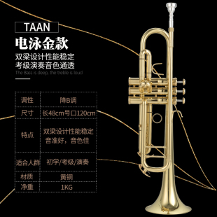 高档正品 降B调 初学演奏考级专业乐团 TAAN小号乐器