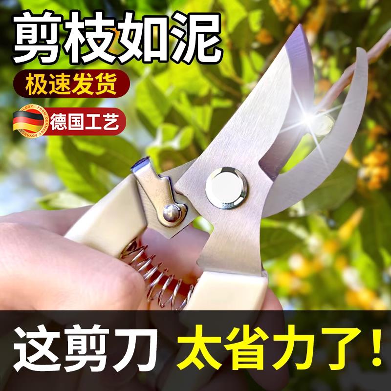 不锈钢树枝修枝剪采摘水果花木剪园林果树花卉枝嫁接园艺剪刀工具