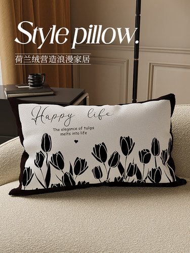 法式高级客厅沙发抱枕腰枕含芯车用办公室腰靠枕家用卧室床头靠垫