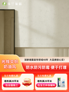 玉兰家居 墙面翻新以旧换新 现代简约无缝百搭壁布 追风者 光影