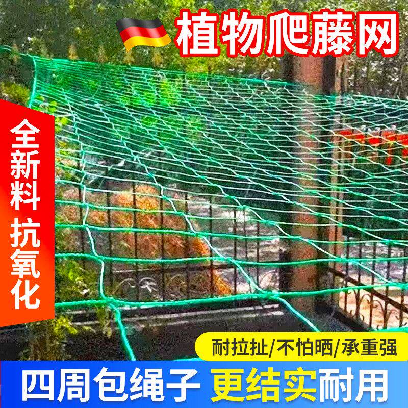 植物爬藤网攀援网园艺搭架网瓜果丝瓜苦瓜月季藤蔓花卉攀爬种植网