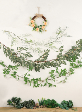 柳叶壁饰幼儿园森系植物角装饰户外花园庭院墙面挂饰仿真植物藤条