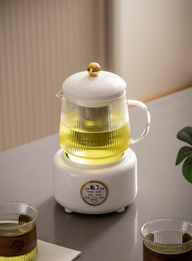 养生壶多功能家用保温小型办公室全自动加厚玻璃煮茶器烧水煮茶壶