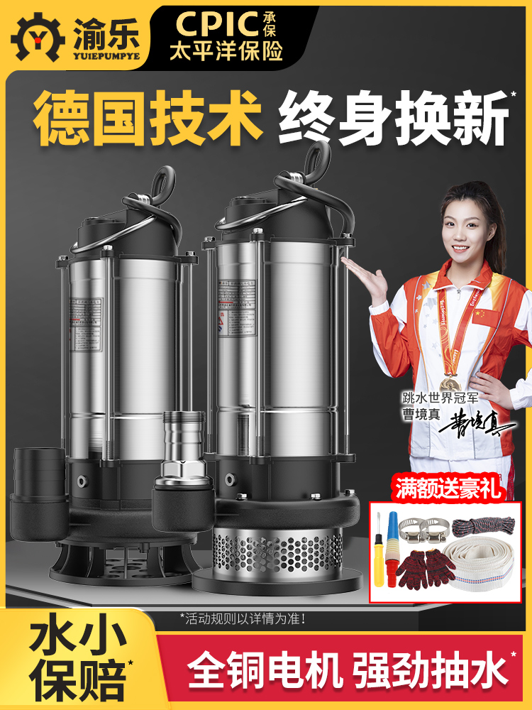 潜水泵220v小型不锈钢抽水泵家用抽清水机高扬程农用灌溉排污水泵