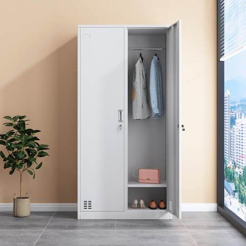 更衣柜钢制更宿衣柜员工柜舍二门包铁皮柜储柜健身房更衣室存柜换