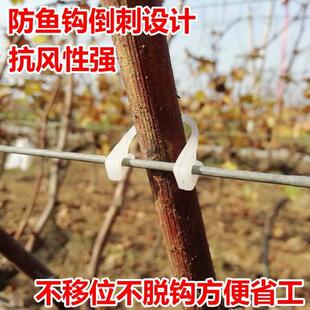 包邮奇异果葡萄树种植绑枝卡扣机绑蔓挂钩扎丝枝条缚固定塑料卡子