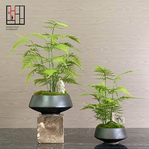 新中国风花卉人造绿色植物盆景样板间客厅售楼处入口植物芦笋盆栽