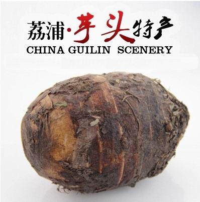 罗定农户种正宗荔浦芋头新鲜芋艿香芋毛芋头槟榔芋