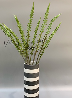 绿植样板间造景塑料花
