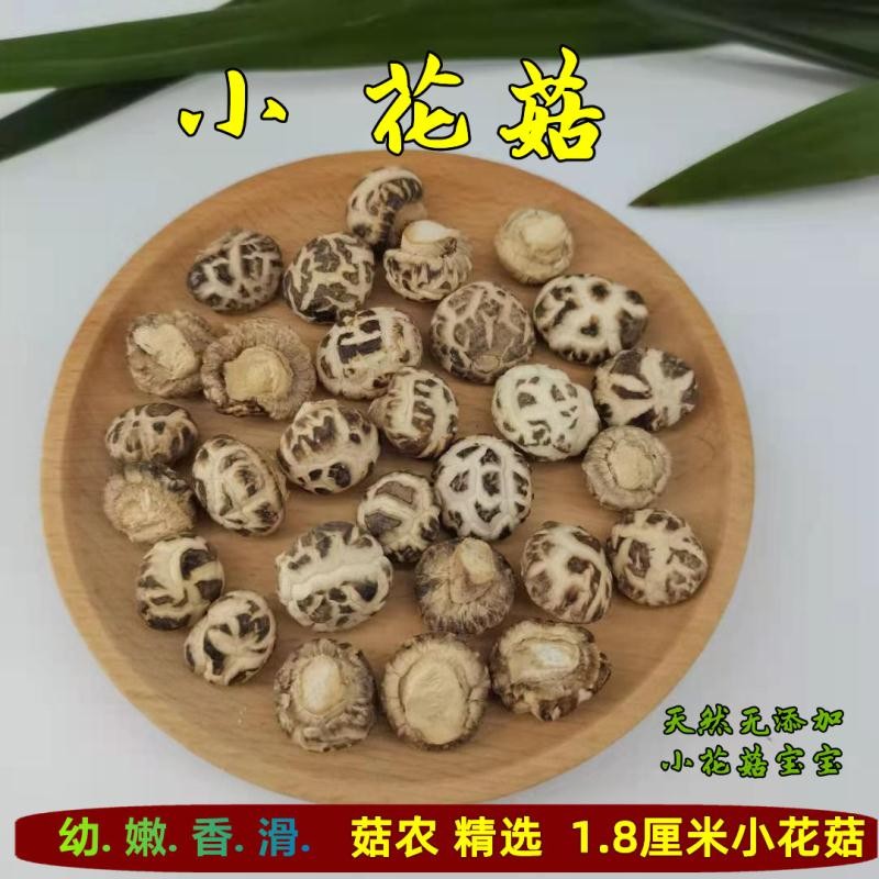今年新货椴木小花菇河