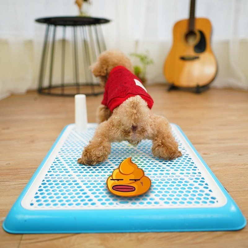 大便拉屎狗狗狗便盆防臭尿垫吸水厕所折叠垫拉粑粑地漏挡板