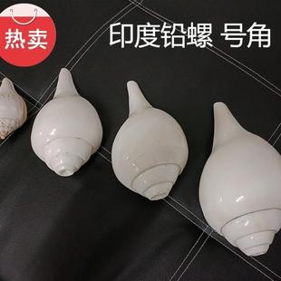 印度铅螺白右旋螺圣螺密宗礼品