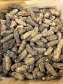 红球深海野生海参高营养口感超好 老人孕妇孩子2023年尾存