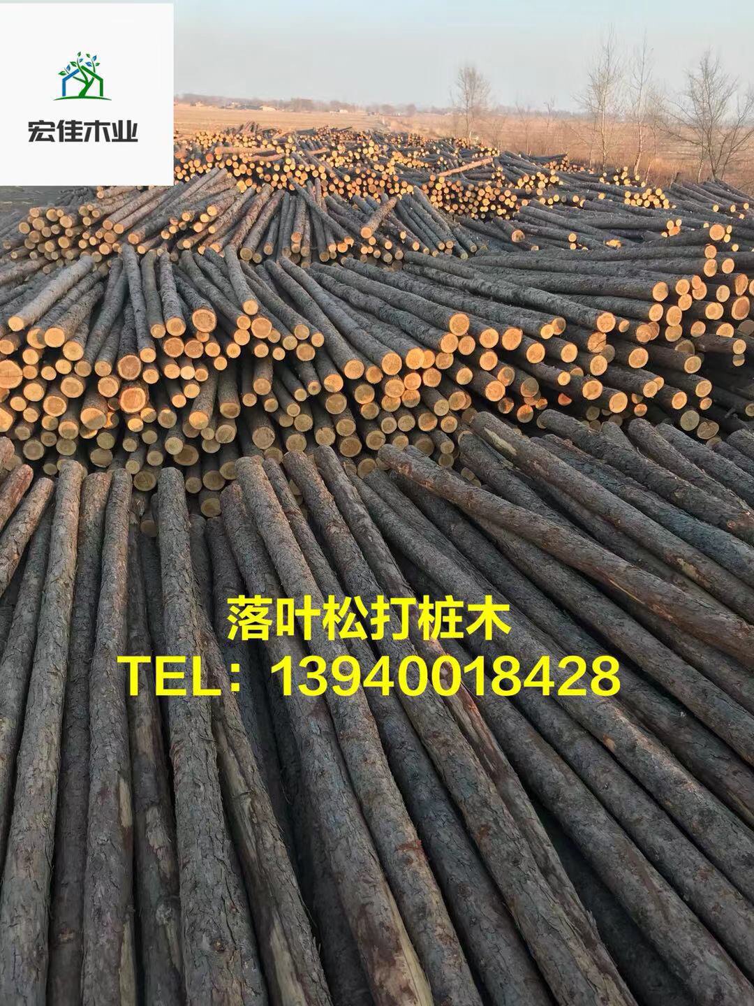 落叶松植树杆河道打桩木六米高压线防护架杆成品木芯竹片原木木桩