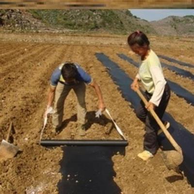 .黑色地膜农f用薄膜除草生蔬果户外F耐用农用地菜地田地簿膜长方