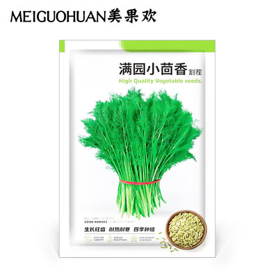 夏季菜心菜种籽四季大满园种阳台小南方菜籽茴香种孑蔬菜种孑种子