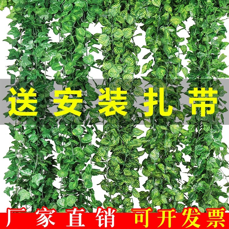 树藤假葡萄藤装饰室内装修绿色植物墙花条花藤爬滕长条塑料缠绕