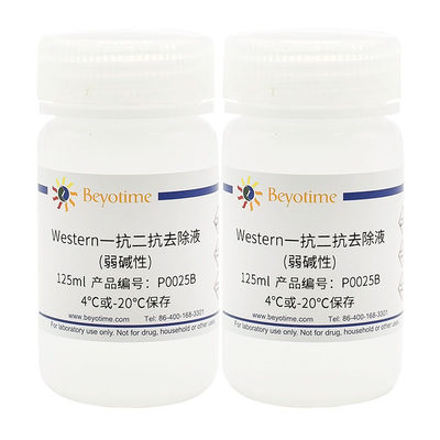 碧云天 Beyotime P0025B 250ml Western一抗二抗去除液(弱碱性)