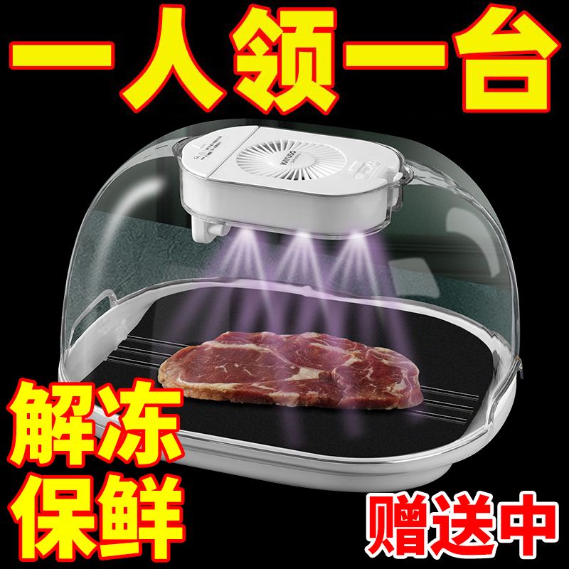 解冻神器家用牛排冻肉快速解冻锁鲜保鲜肉类化冰沥水多功能解冰器 厨房/烹饪用具 导热盘/解冻盘 原图主图