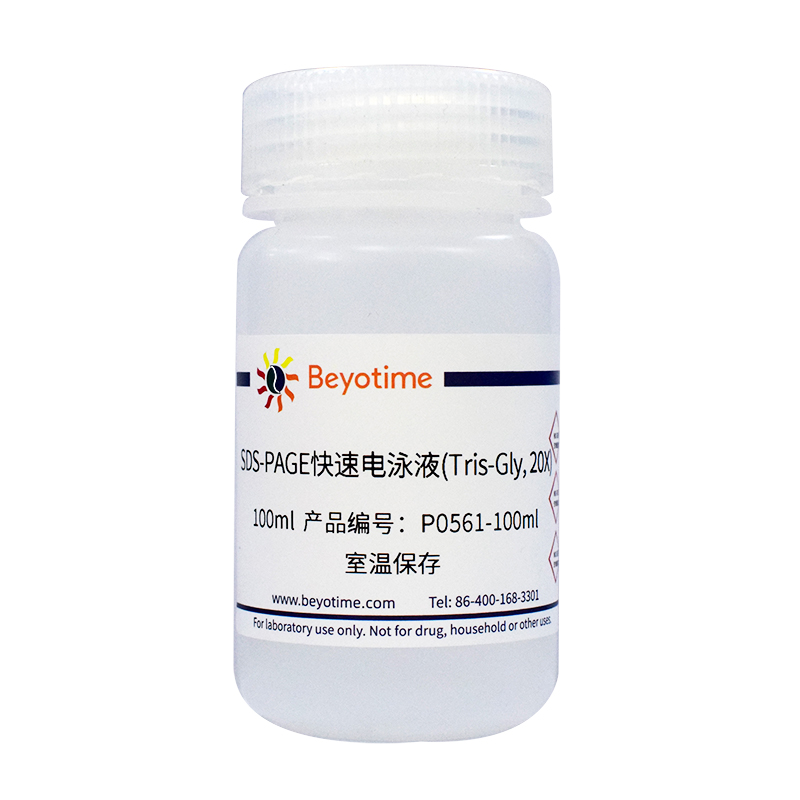 碧云天 Beyotime P0561-100ml P0561-500ml SDS-PAGE快速电泳液