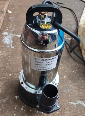 大功率两寸12V24V直流泵电瓶水泵农田灌溉高扬程大流量
