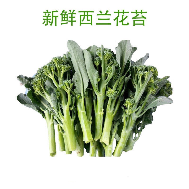 新鲜蔬菜西兰苔500g10甜