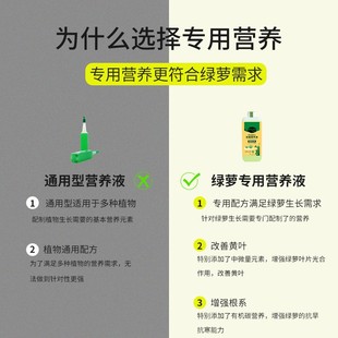 绿萝营养液专用肥料吊兰家用植物生长素绿叶土培水养浓缩通用花肥