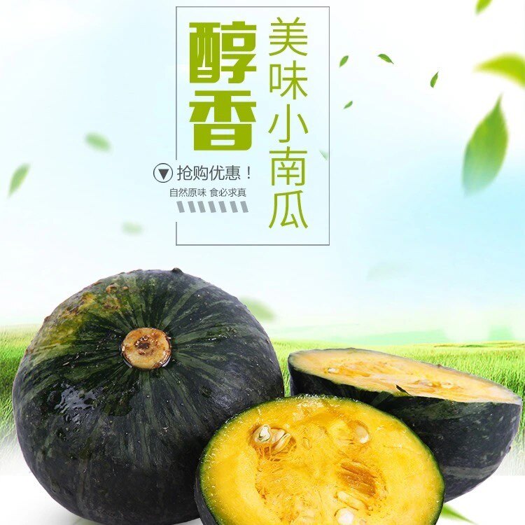 东北当地农产品新下来板栗南瓜 大窝瓜绿瓜谢花面窝瓜嘎嘎面5斤包