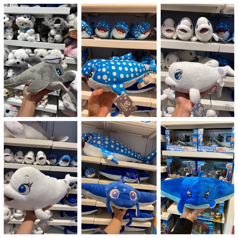 珠海长隆科学酒店海豚白鲸魔鬼鱼
