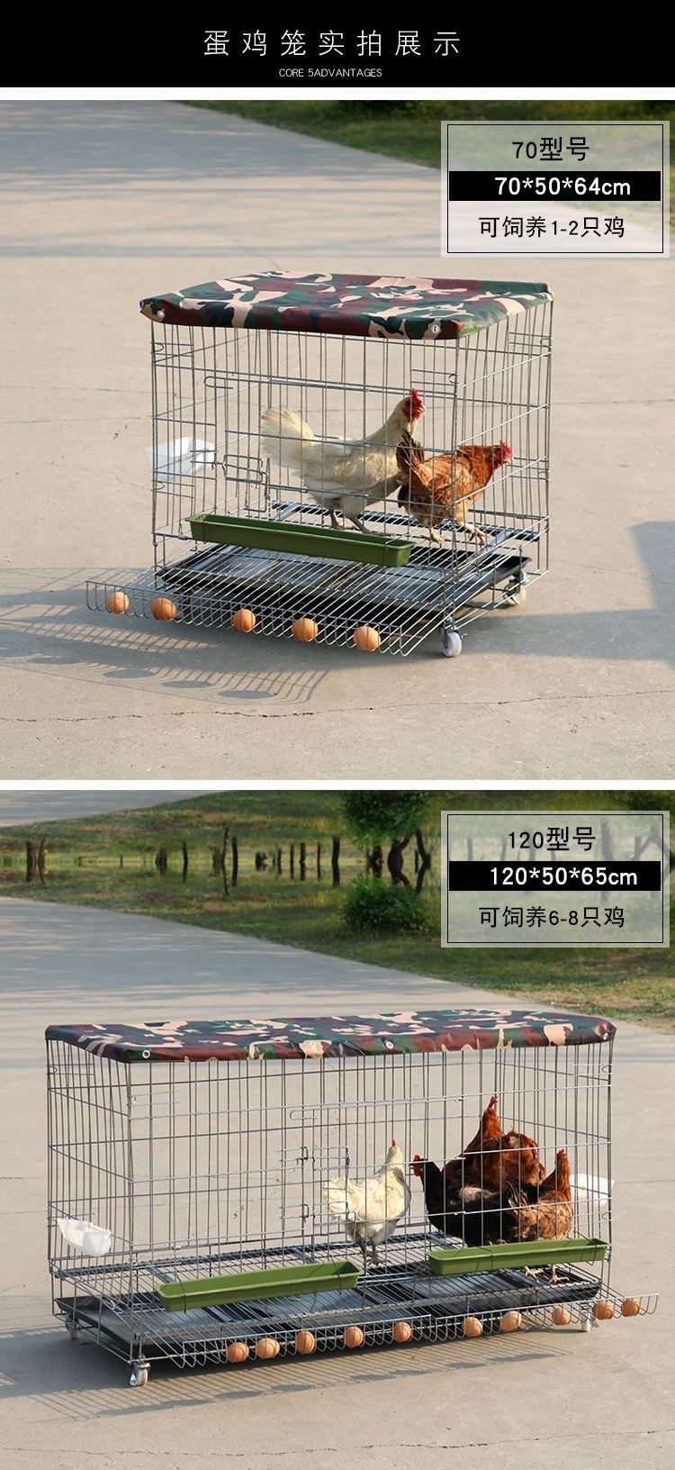 鸡笼家用养鸡笼阳台蛋鸡笼子自动滚蛋养殖笼双开门大号折叠宠物笼