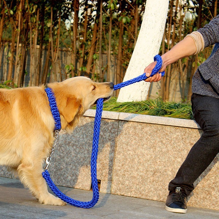 狗狗八股编织牵引绳中大型犬遛狗绳可调节项圈P链狗链子宠物狗绳