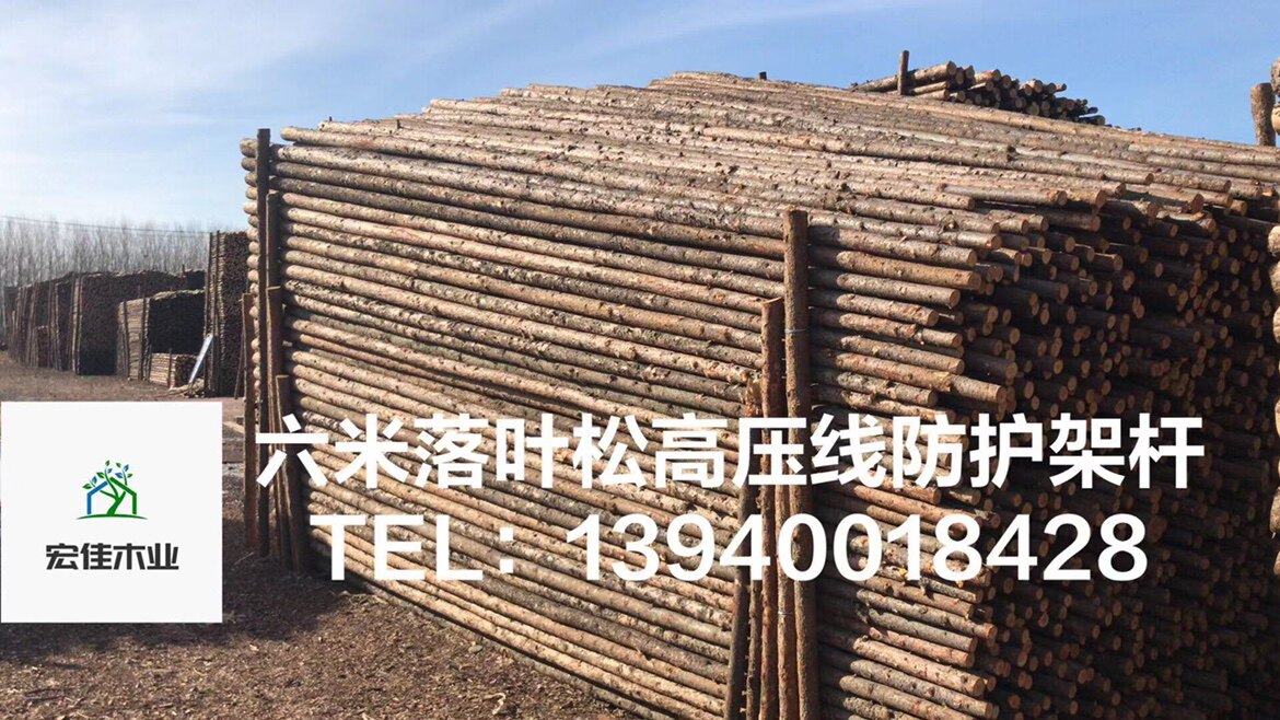 河道打桩木 落叶松植树杆六米高压线防护架杆竹片 树支撑树木支架