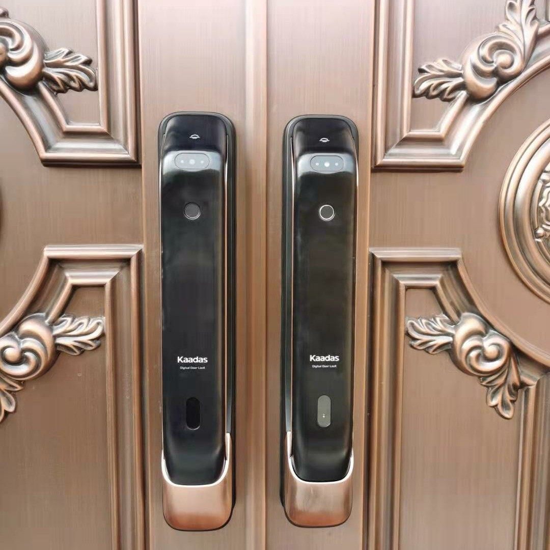 人脸识别密码锁家用防盗门