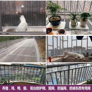 阳台防护网猫咪网塑料网格胶网封阳台防盗窗网宠物防逃防掉垫板网