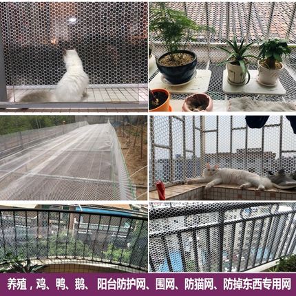 阳台防护网猫咪网塑料网格胶网封阳台防盗窗网宠物防逃防掉垫板网