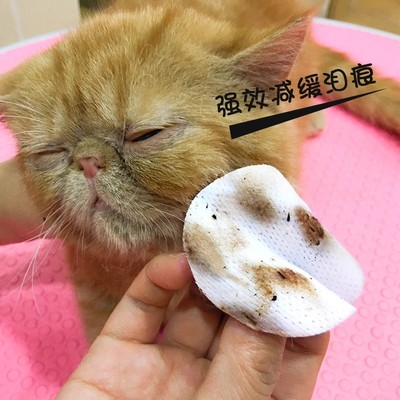 派锐猫咪专用湿巾宠物清洁猫咪用除臭湿纸去泪渍神器猫泪痕消宠物