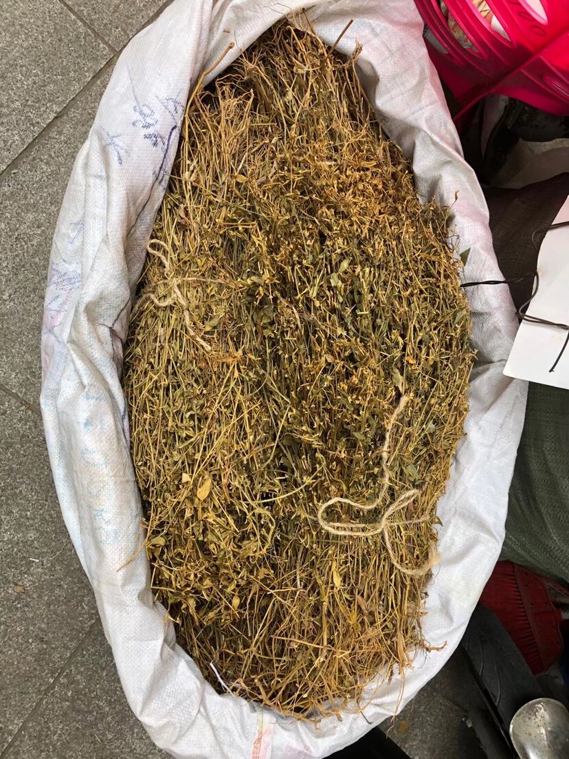 鸡心黄500克野生鸡心黄中药材牛心菜 鸡心菜 鸡心王 鸡心草