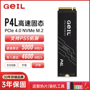 PS5台式 机PCIE4.0笔记本SSD长江存储 金邦P4L固态硬盘1TB 512G