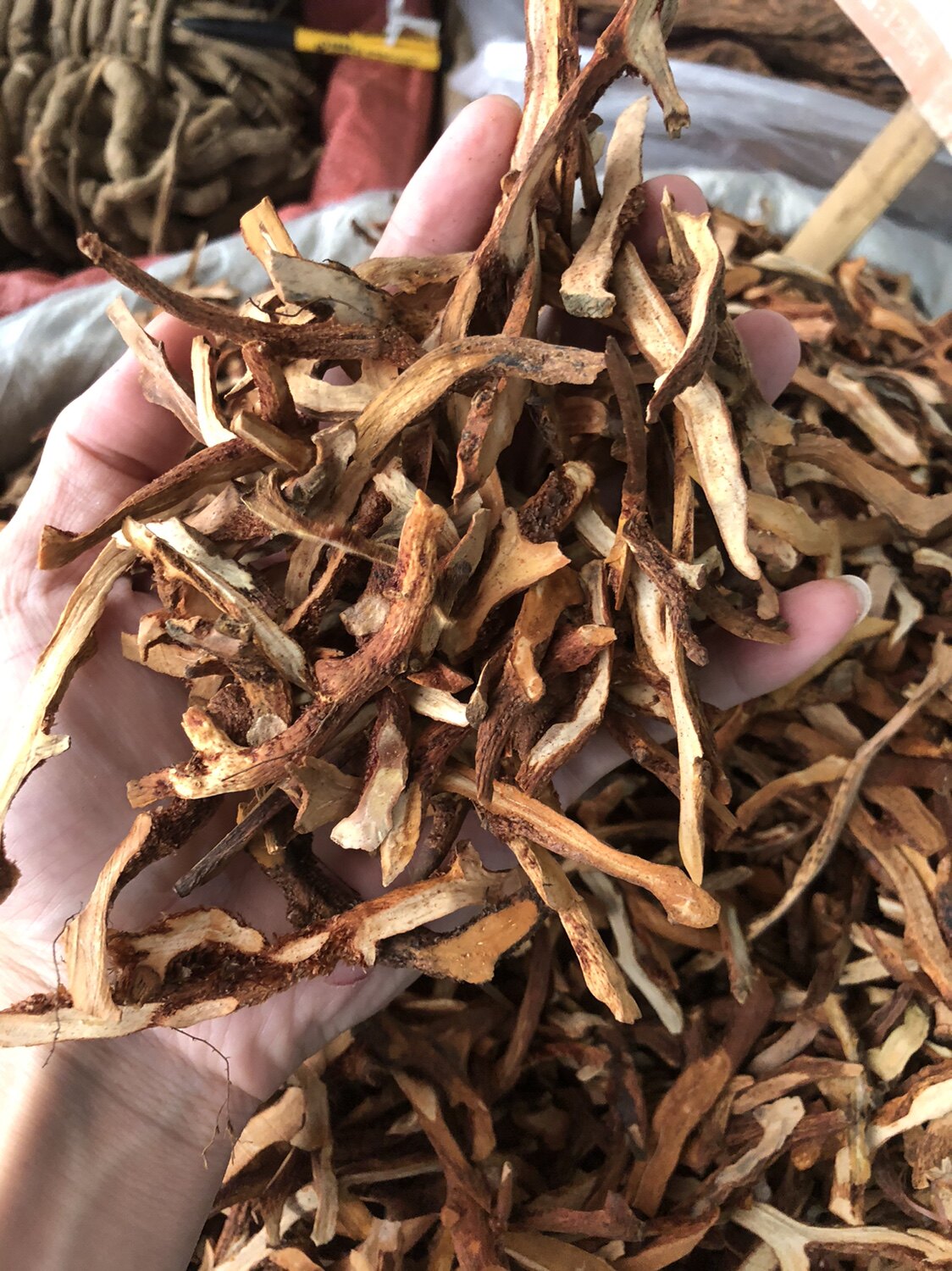 骨碎补云南无硫中药材