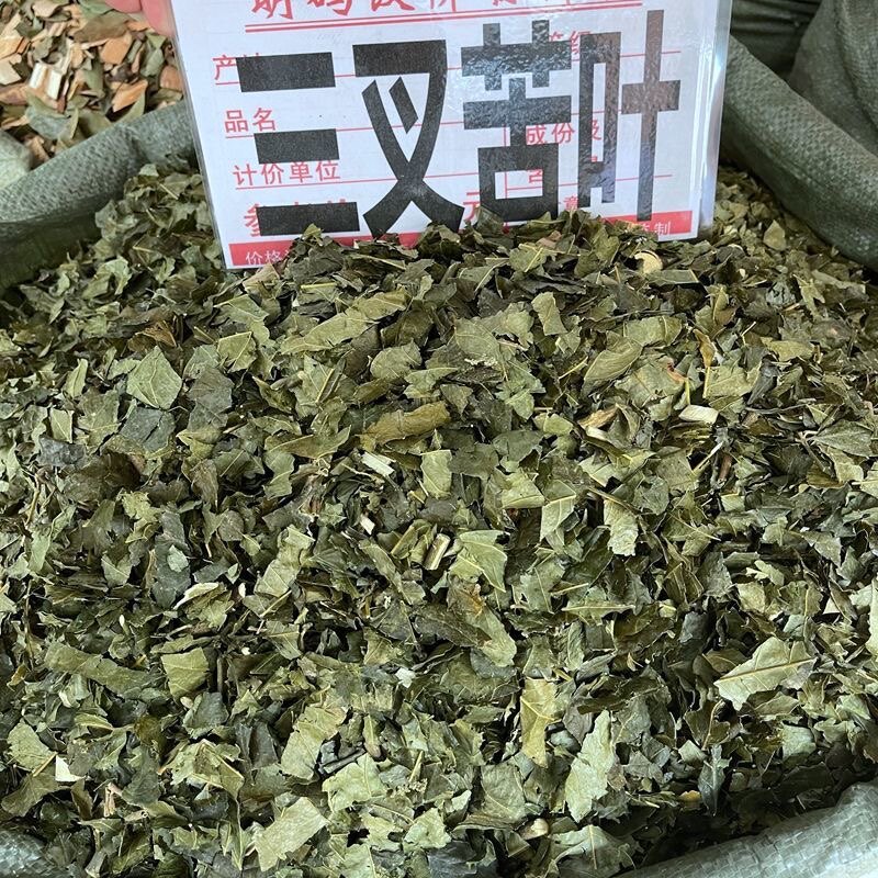 三叉苦野生三叉苦叶 三丫苦 三桠苦干品500克包邮 - 实物图