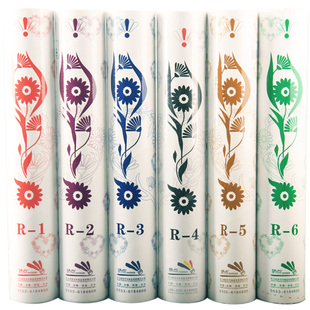 骄点羽毛球耐打鷀鸪鸭大方羽毛J焦点R-1 2 3 4 5 6号飞行稳定训练